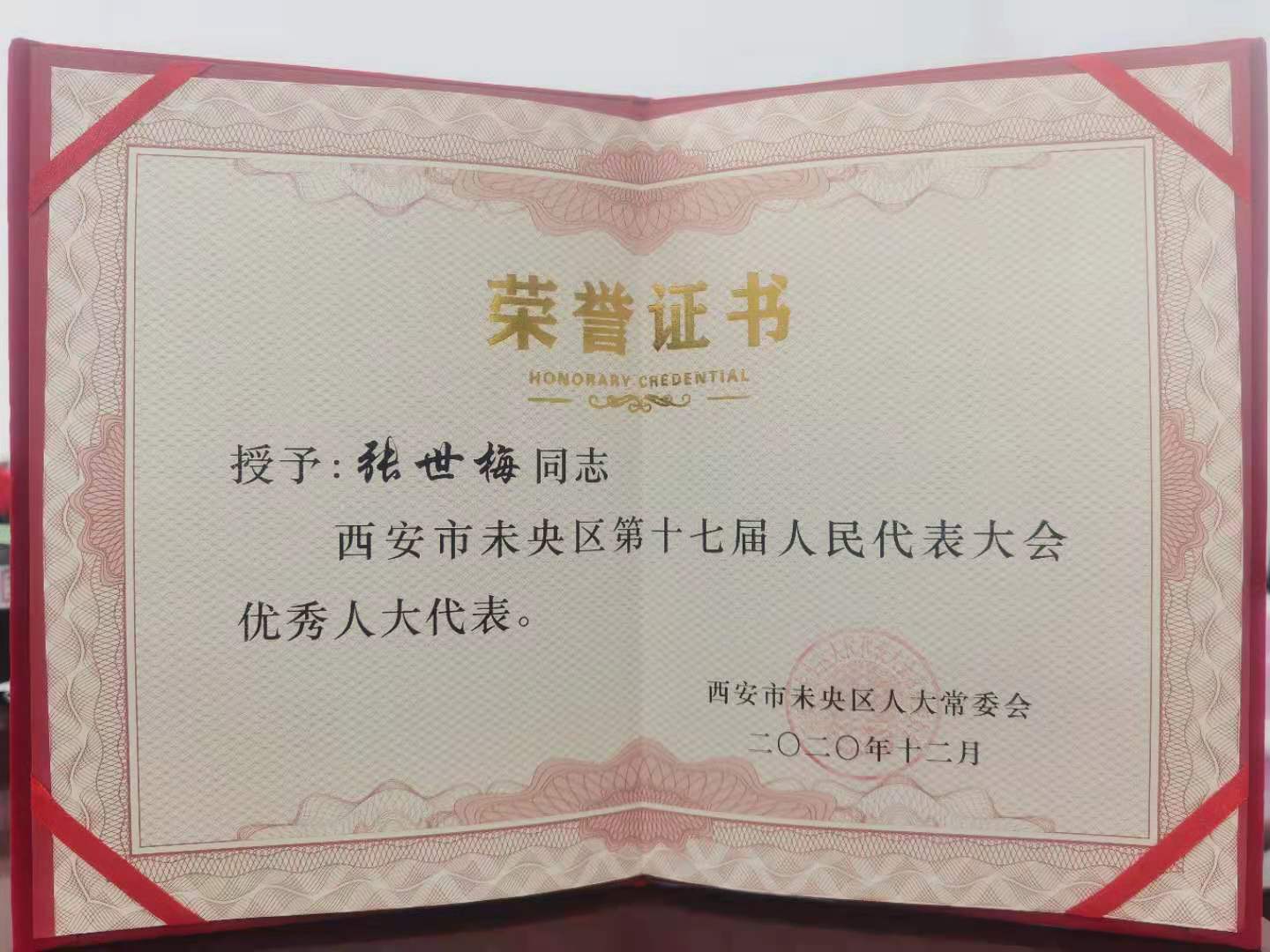 西安交通大学城市学院张世梅同志荣获未央区"优秀人大代表"称号